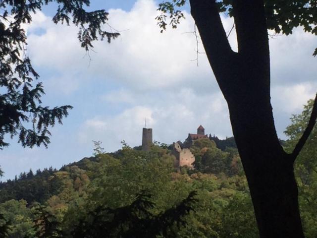 Ferienwohnung Burgenblilck Weinheim Εξωτερικό φωτογραφία